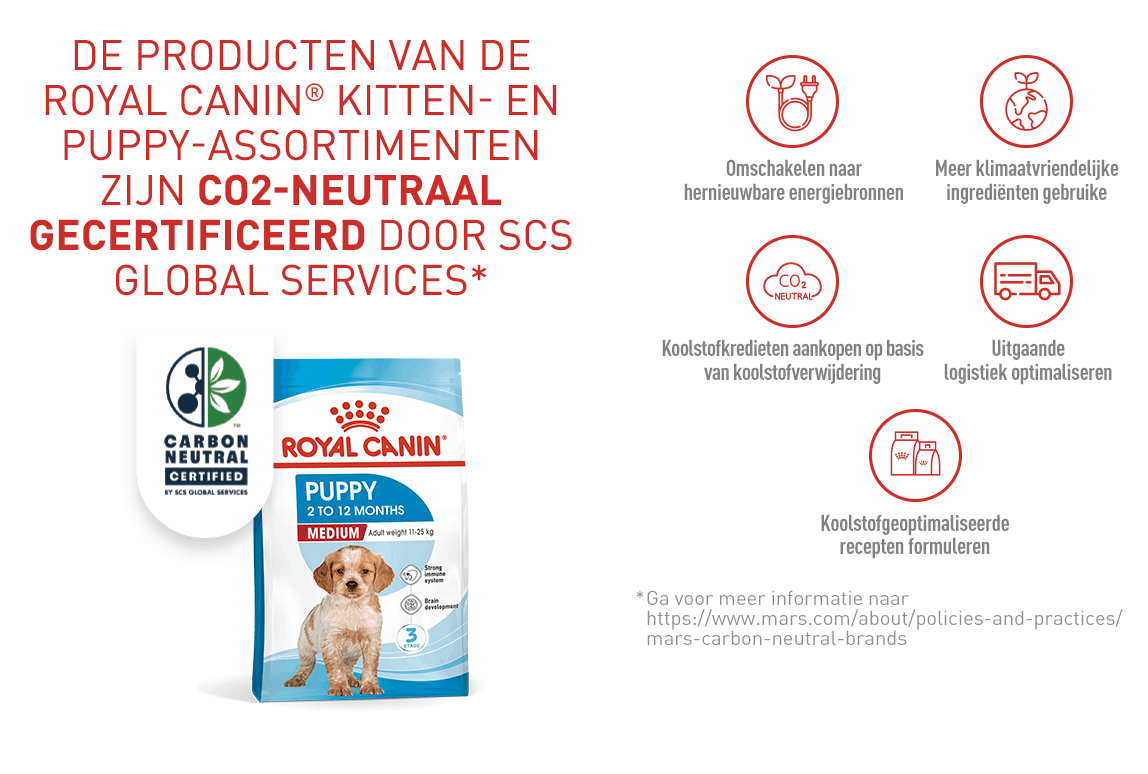 Royal Canin Puppy Medium Dry